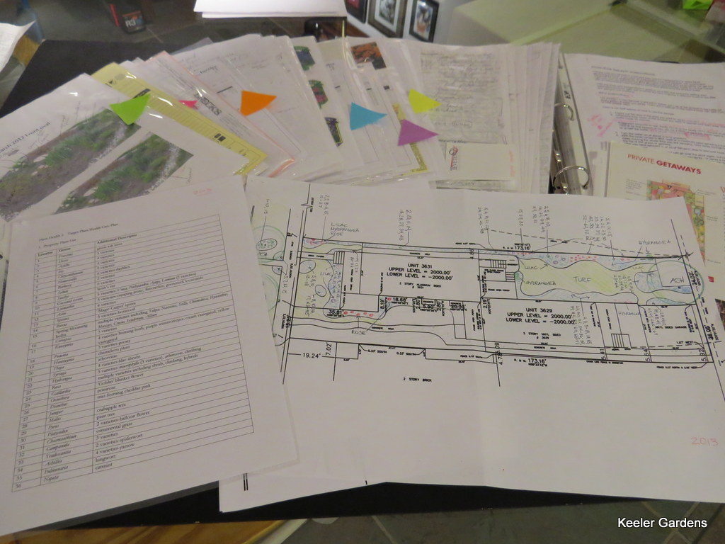 Documentation of plants, shrubs, and trees seen through the landscape design and books of research.