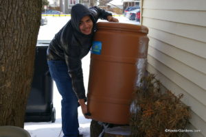 High school intern seen at the back of Keeler Gardens working on placing the rain barrels as he braves the snow and keeps working.