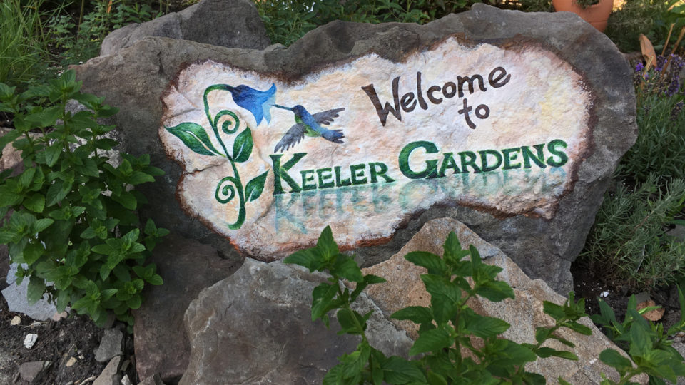 A rock slab stands upright, braced by other rocks and surrounded by foliage in the Keeler Gardens pollinator habitat. The slab is painted partially white, and text painted on it reads “Welcome to,” in black, and “Keeler Gardens” in green. There is also a painting of a blue and green hummingbird hovering next to a blue flower to the left of the words, which is the Keeler Gardens logo.