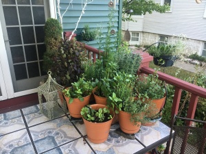 A variety of herb pots on a marble table.
